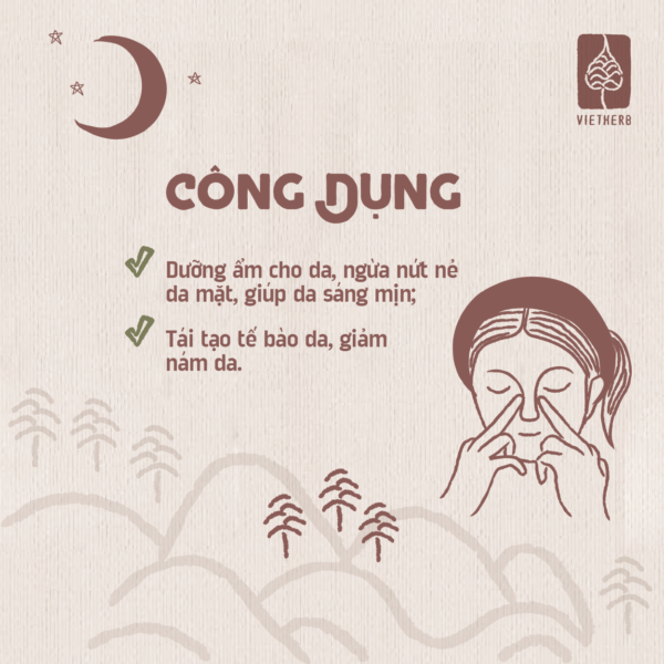duong-mat-dem-net-moc-chon-boi-la-en-03