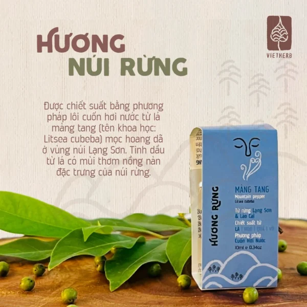 tinh-dau-la-mang-tang-chon-boi-la-en-02