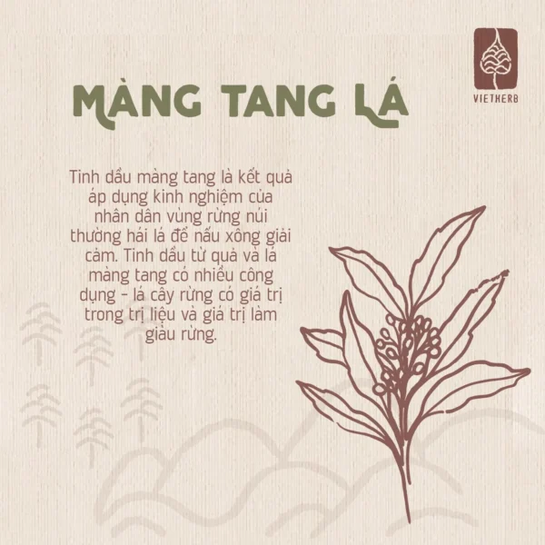 tinh-dau-la-mang-tang-chon-boi-la-en-03