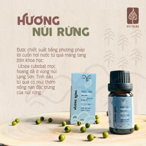 tinh-dau-mang-tang-qua-chon-boi-la-en-02