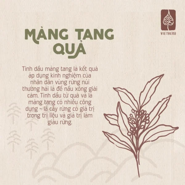 tinh-dau-mang-tang-qua-chon-boi-la-en-03