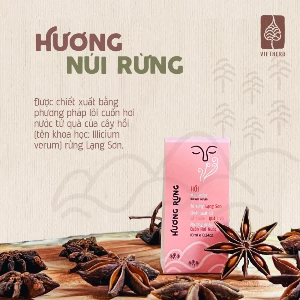 tinh-dau-qua-hoi-chon-boi-la-en-02