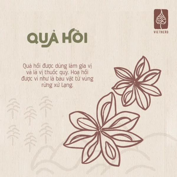 tinh-dau-qua-hoi-chon-boi-la-en-03