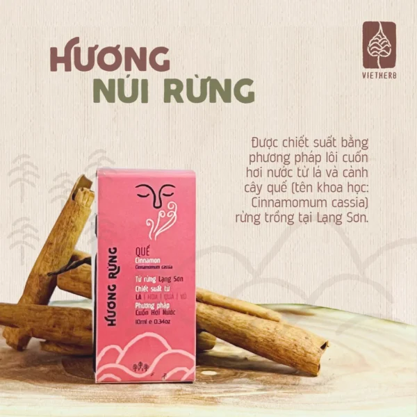 tinh-dau-que-chon-boi-la-en-02