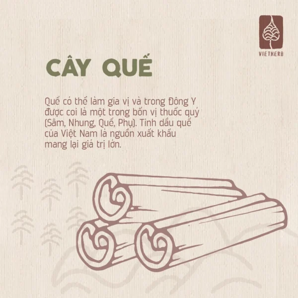 tinh-dau-que-chon-boi-la-en-03