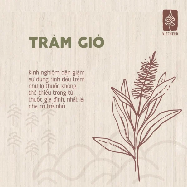 tinh-dau-tram-gio-03