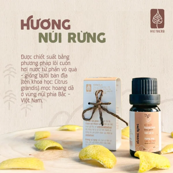 tinh-dau-vo-buoi-chon-boi-la-en-02