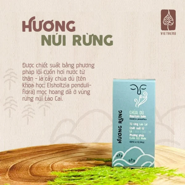 tinh-dau-chua-du-chon-boi-la-en-02