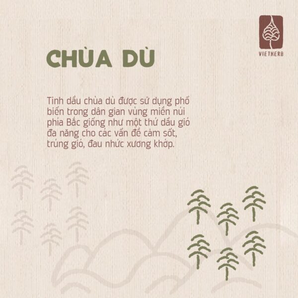 tinh-dau-chua-du-chon-boi-la-en-03