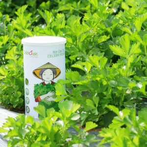 bot-can-tay-organic-chon-boi-la-en-01