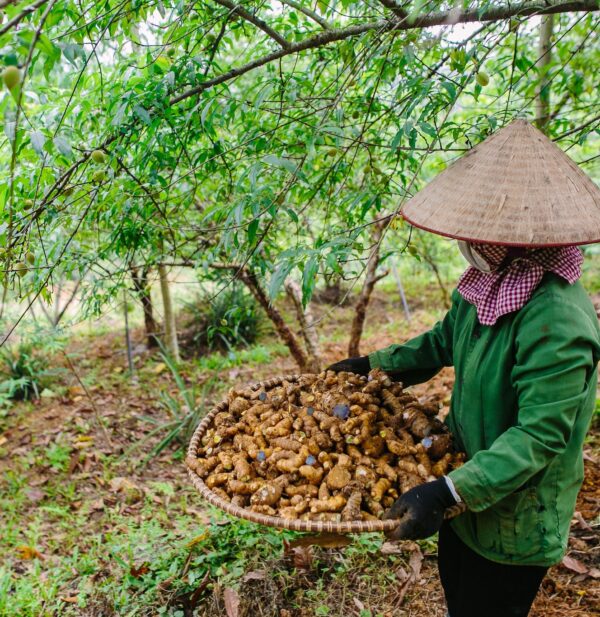nghe-den-mat-ong-la-en-chon-02